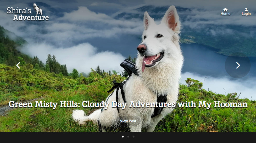 White dog sitting in green grass on the mountain with a fjord in the background